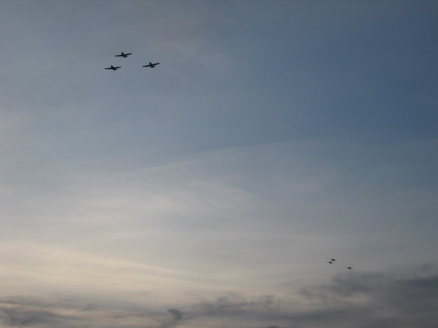 617x456 pixels (38K)